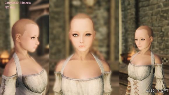 《上古卷轴5:天际》女角色美化指南