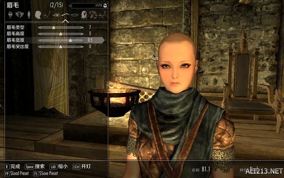 《上古卷轴5:天际》女角色美化指南