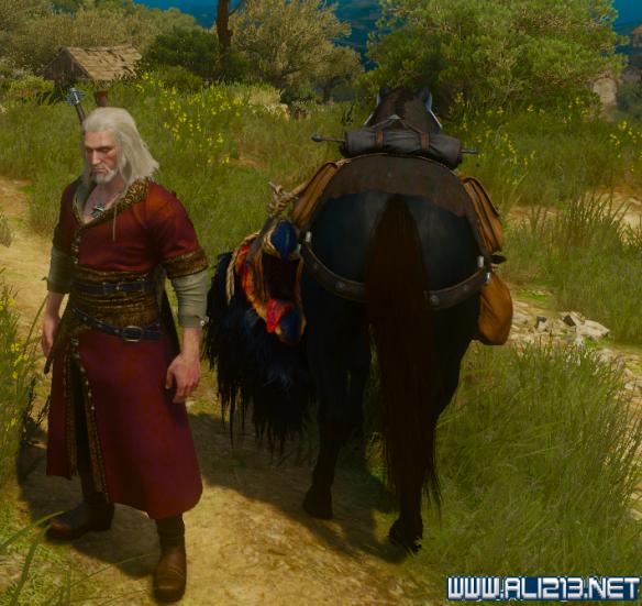 《巫师3：狂猎》血与酒萝卜马尾不见问题解决办法