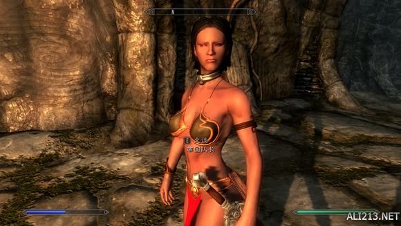 《上古卷轴5:天际》私人武装创建玩法解析攻略