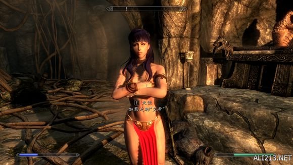 《上古卷轴5:天际》私人武装创建玩法解析攻略