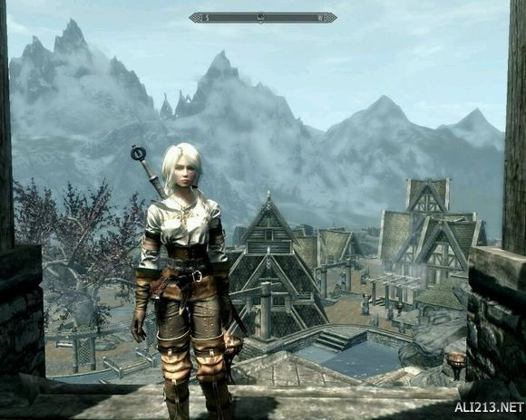 《巫师3：狂猎》捏脸图文攻略