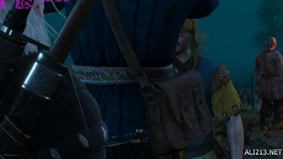 《巫师3：狂猎》商人分身bug一览（巫师3笼子里的商人bug）