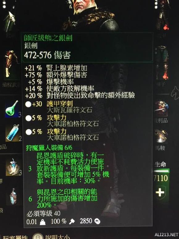 《巫师3：狂猎》师匠级熊装赏析