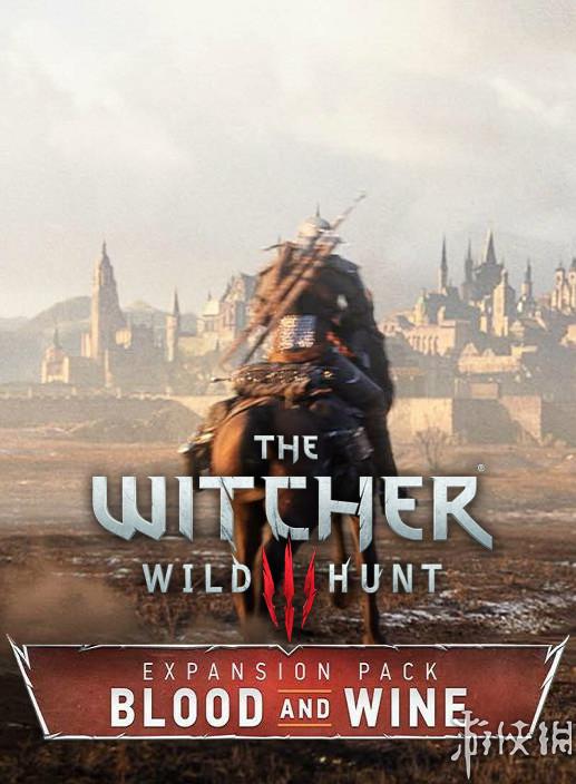 巫师3：狂猎如何夜视 巫师3怎么夜视