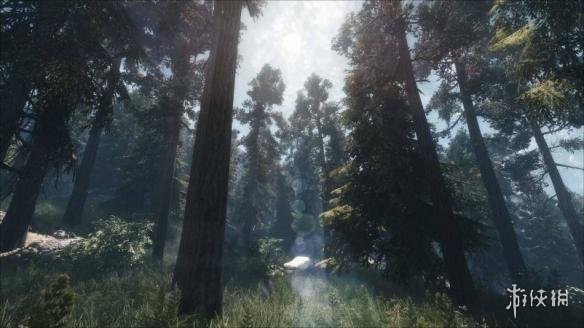 上古卷轴5天际小技巧汇总 上古卷轴5 天际 流程攻略