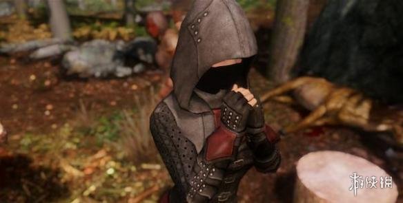 上古卷轴5天际盗贼职业玩法解析 上古卷轴5盗贼技能