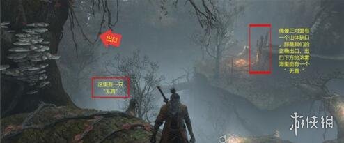 只狼隐藏森林怎么去水生村 只狼迷雾森林怎么去水生村