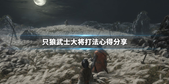 只狼影逝二度武士大将怎么打（只狼 影逝二度大将怎么打）