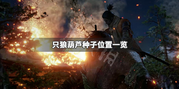 只狼影逝二度最后一个葫芦种子在哪（只狼 最后一个葫芦种子）