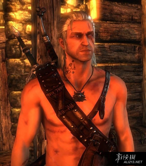 《巫师3:狂猎》国王刺客彩蛋图文赏析