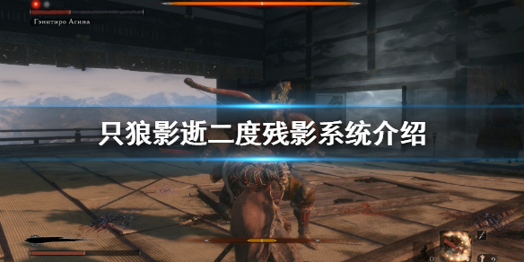 只狼影逝二度残影怎么用 只狼 影逝二度怎么触碰残影