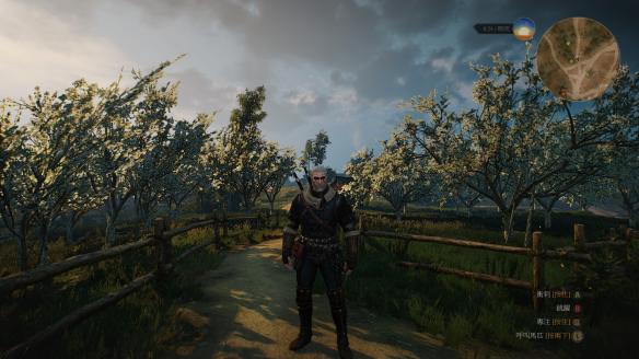 巫师3狂猎全学派极品套装外观图鉴 极品套装有哪些？