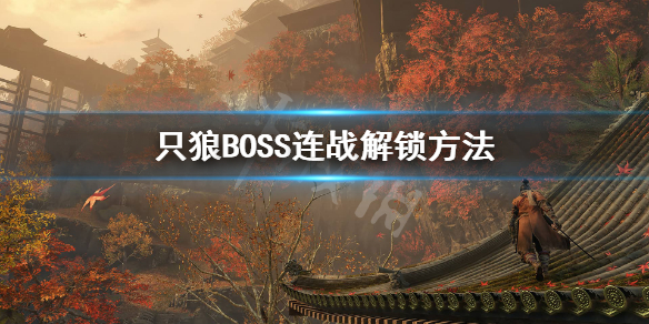 只狼17个BOSS连战怎么解锁 只狼怎么开启boss连战