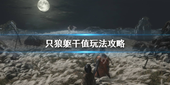 只狼躯干值满了会怎么样（只狼躯干值满了怎么办）