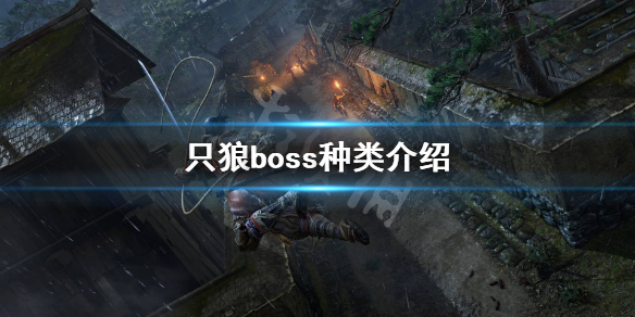 只狼boss种类有哪些（只狼boss排行榜）