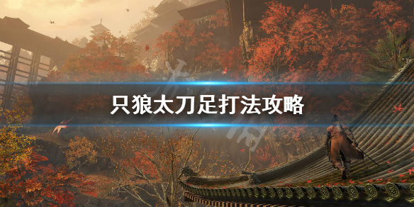 只狼太刀之足怎么打(只狼打完太刀足怎么走)