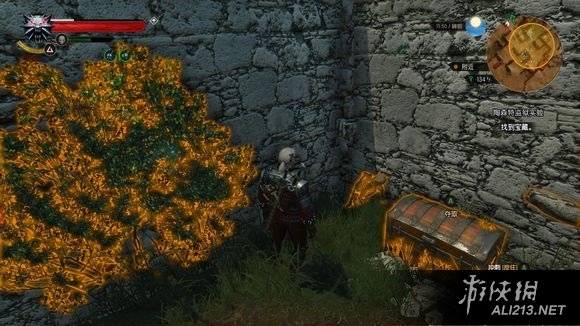 《巫师3:狂猎》染色剂配方详细获取位置解析攻略