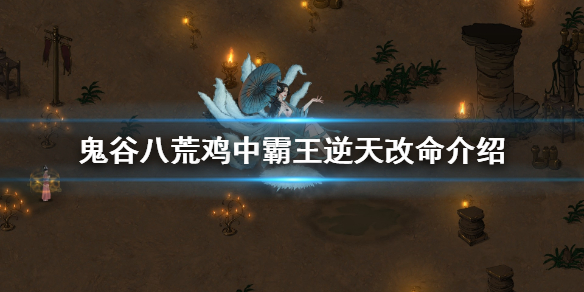 鬼谷八荒鸡中霸王有什么用（鬼谷八荒鸡中霸王有什么用吗）