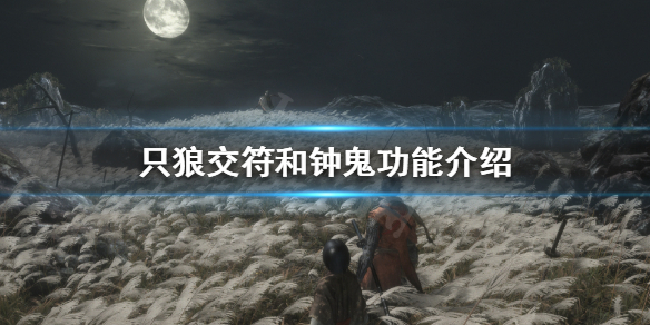 只狼双难是什么(只狼什么叫双难)