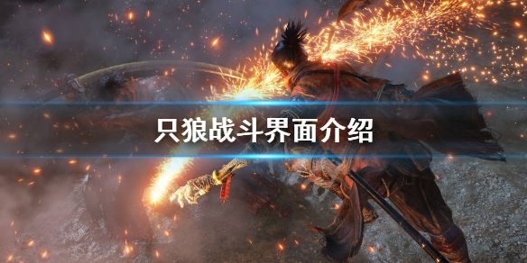 只狼怎么看躯干值(只狼躯干值是什么意思)