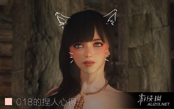 《上古卷轴5:天际》捏脸玩法技巧(上古卷轴五怎么捏脸)