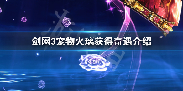 剑网3宠物火璃如何获得 剑网三火璃驯养