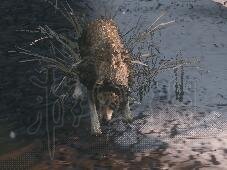 只狼全敌人+全人物+全义手忍具+全流派招式娱乐评价 敌人部分：无甲太刀武士_网