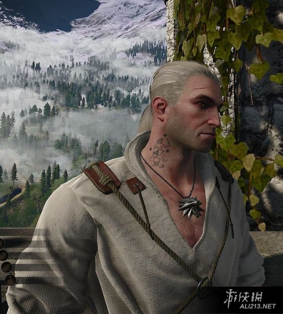 《巫师3:狂猎》国王刺客彩蛋图文赏析