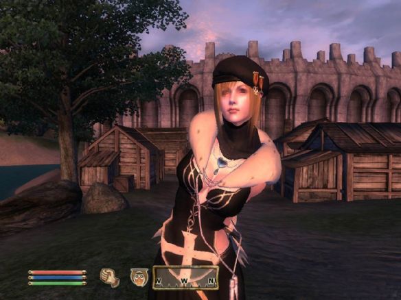 《上古卷轴5：天际》怎么让随从果体（上古卷轴5实验室额外果体怎么用）