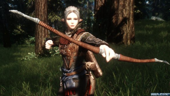 《上古卷轴5：天际》第三届龙裔参赛作品 混血精灵莫妮卡赏析攻略