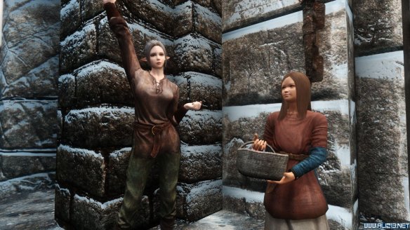 《上古卷轴5：天际》第三届龙裔参赛作品 混血精灵莫妮卡赏析攻略