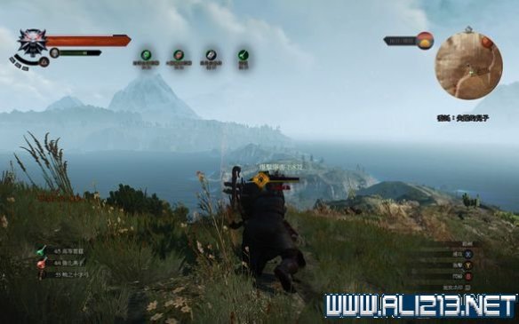 《巫师3：狂猎》极致输出解析攻略（巫师三狂猎狂猎）