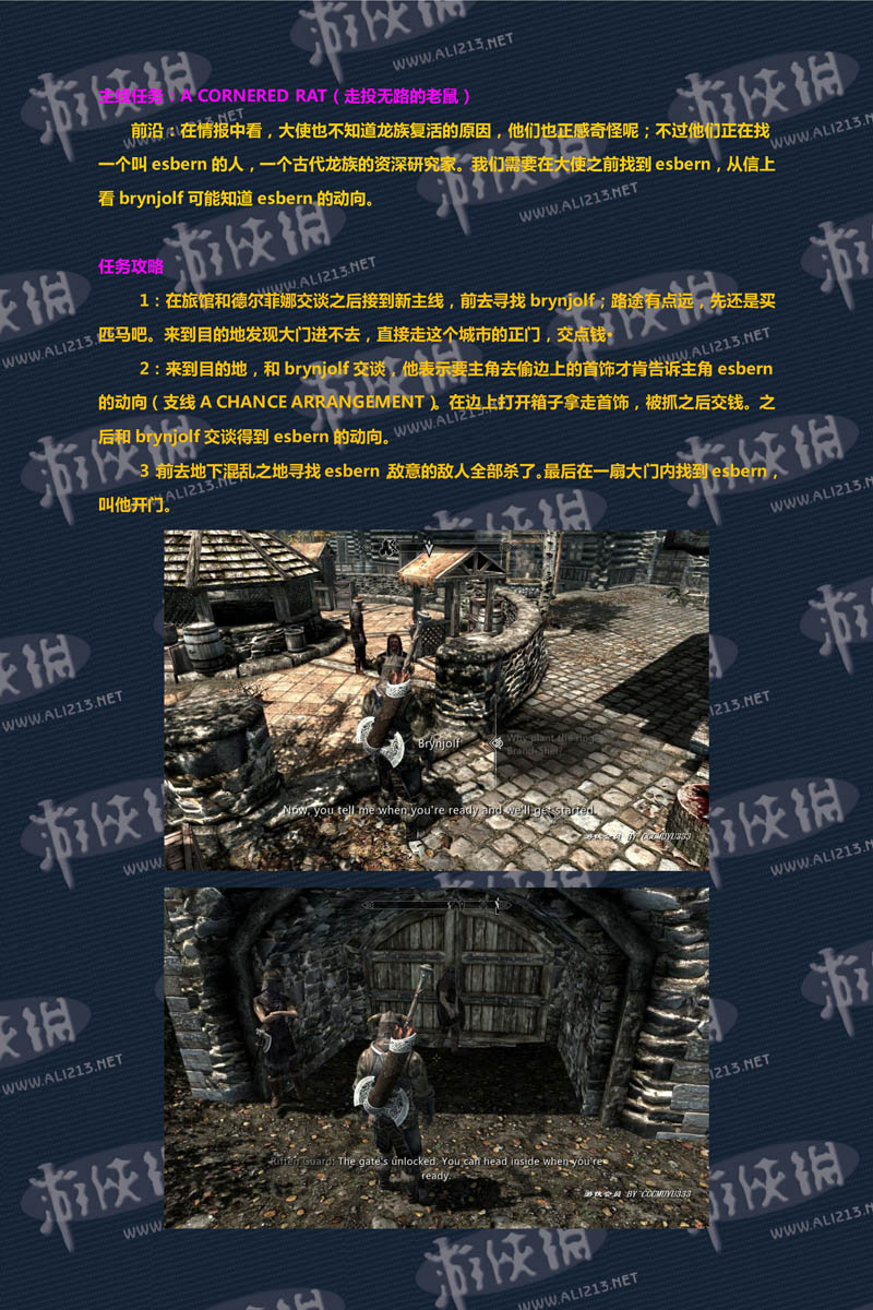 《上古卷轴5：天际》强档攻略