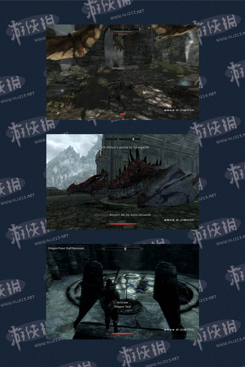 《上古卷轴5：天际》强档攻略