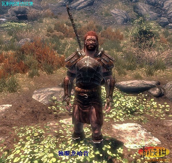 《上古卷轴5:天际》各种怪“病”的治疗方法【Bug解决】