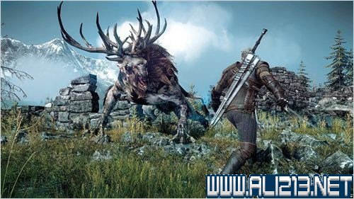 《巫师3：狂猎》图文流程攻略（巫师3狂猎图文攻略 主线任务流程攻略）