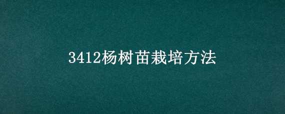 3412杨树苗栽培方法