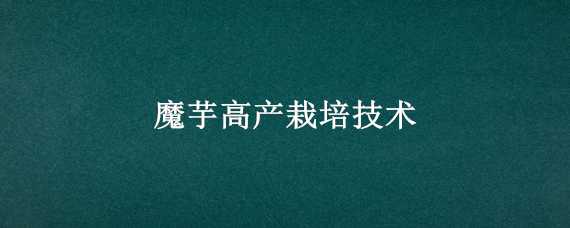 魔芋高产栽培技术