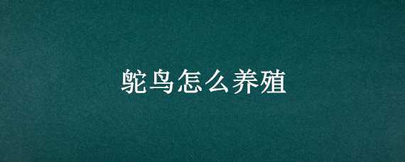 鸵鸟怎么养殖