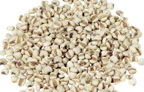 薏苡仁的功效与作用