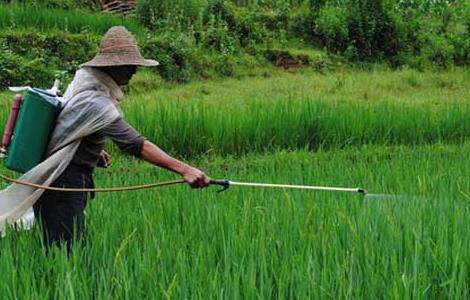 节约成本少污染的农药喷洒方式