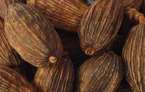 草果的炮制方法