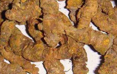 黄连的炮制方法