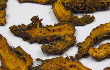 黄连的炮制方法