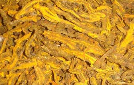 黄连的炮制方法