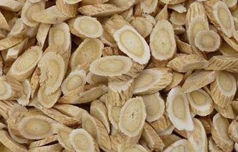 北芪的功效与作用