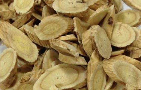 北芪的功效与作用