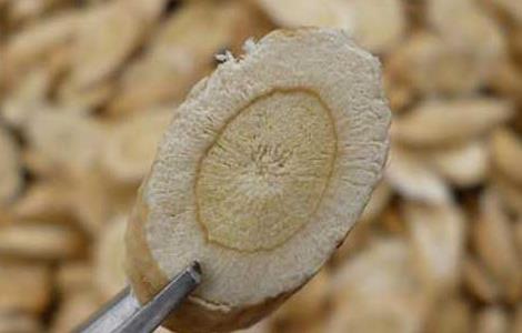 北芪的功效与作用