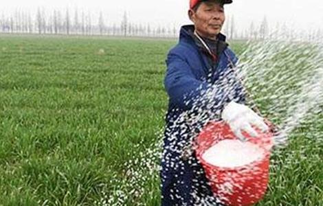 微生物菌剂 使用注意事项